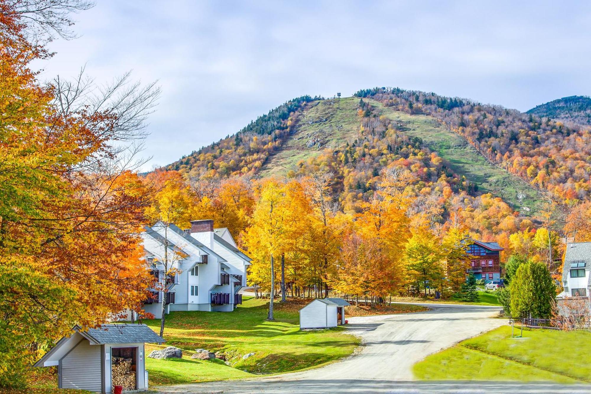 Sunrise Glade Villa Killington Rum bild